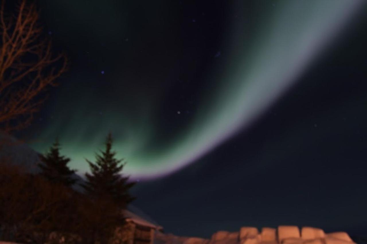 Gemlufall Guesthouse Thingeyri Esterno foto