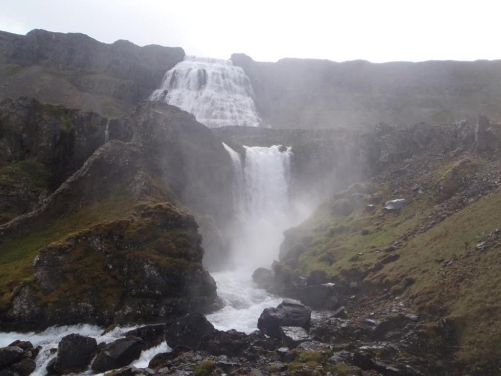 Gemlufall Guesthouse Thingeyri Esterno foto